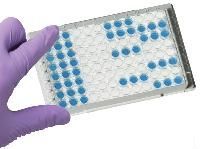Elisa Kits