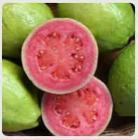 Guava Pulp