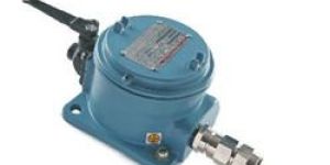 Flameproof Limit Switch