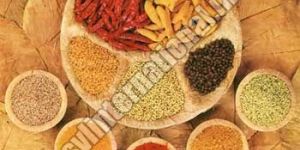 Indian Spices