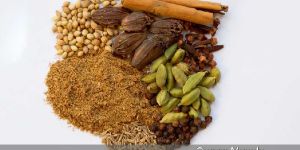 Garam Masala