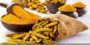 Turmeric Powder