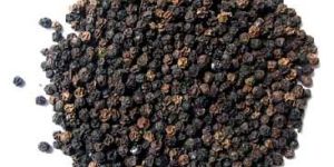 Black Pepper