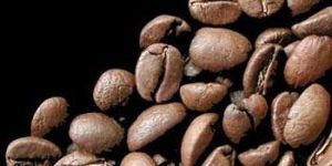 Coffee Flavor