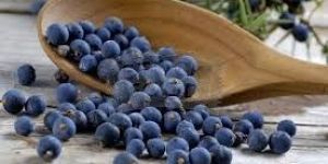 Juniper Berry Oil