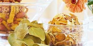 Potpourri 02