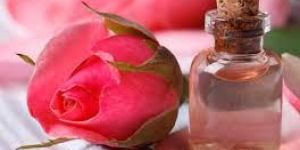 Rose Oil