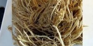 Valarian Root Oil