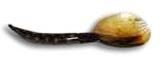 Horn Spoons - 01