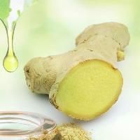 Ginger Oil Seed