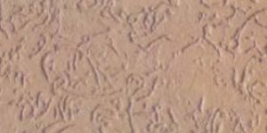 Textured Plaster