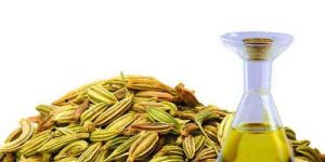 Fennel Oil