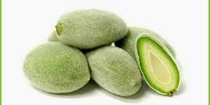 Fresh Green Almonds