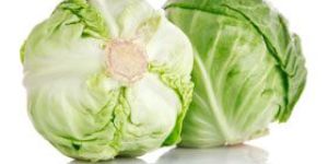 Fresh Cabbage