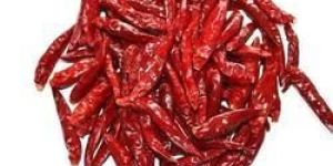 Dried Red Chilli without Stem