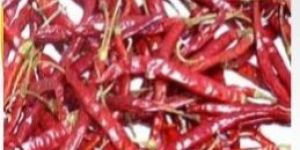 MP GT Sanam Dried Red Chilli