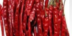 Teja Dried Red Chilli
