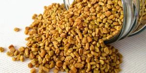 Fenugreek Seeds