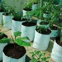 Coir Grow Bags