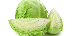 Fresh Cabbage
