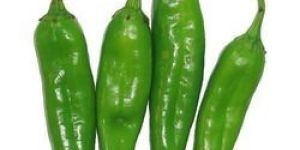 Fresh Green Chilli