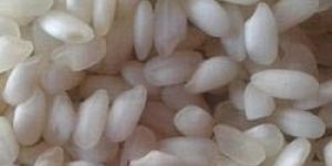 Idli Non Basmati Rice