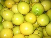 Yellow Lemons