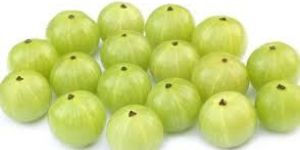 Fresh Amla
