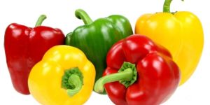 Bell Pepper