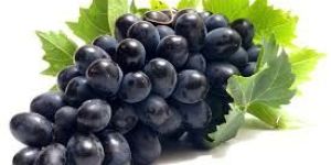 GRAPES BLACK