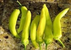 GREEN LONG CAPSICUM
