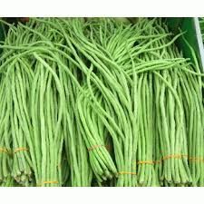 LONG BEANS GREEN