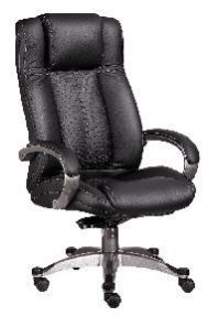 Executive Office Chair