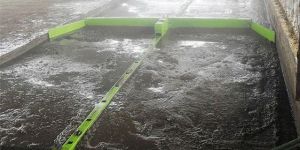 COW DUNG SCRAPER