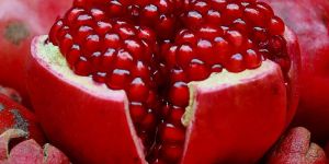 Pomegranate