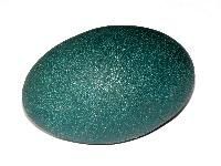 Light Weighted Emu Bird Eggs