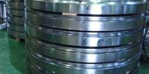 Special Steel Forgings