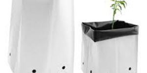 Coco Peat Grow Bag