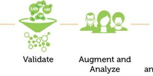 Data Collection Services