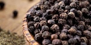 Black Pepper Seeds