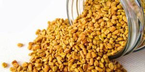 Fenugreek Seeds