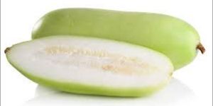 Fresh Bottle Gourd