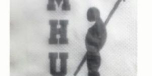 Paper Napkins Logo Design Services