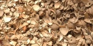Coconut Shell Chips