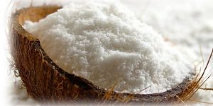 Desiccated Coconut Powder