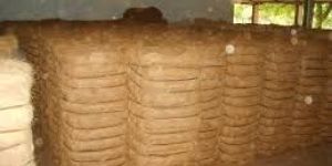 Coconut Fiber