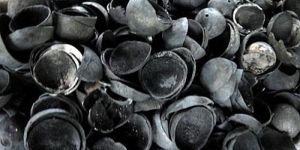 Coconut Shell Charcoal