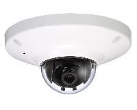 IP Dome Cameras