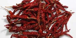Byadgi Dried Red Chilli