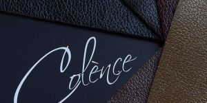 PVC Synthetic Leather